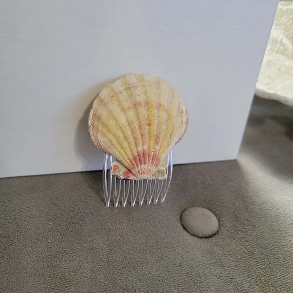 Authentic Seashell Hair Accessory - Picture 2 of 9